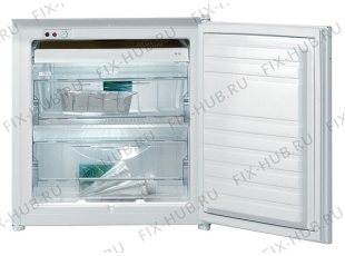 Холодильник Gorenje FI4061AW (405022, ZOI0726) - Фото